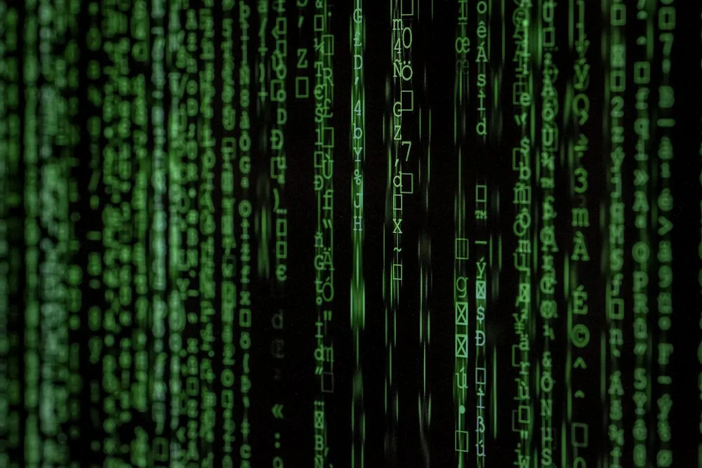 Custom Scripts & Automation by CodeAro